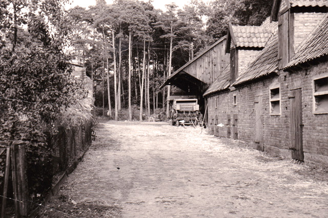 Auffahrt mit alten Stallungen Landhaus Teuteberg Ferienwohnungen Bad Bevensen